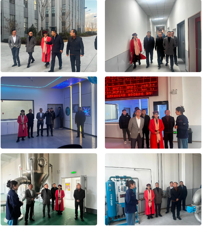 677891a92b88b.png 1735954852676.png